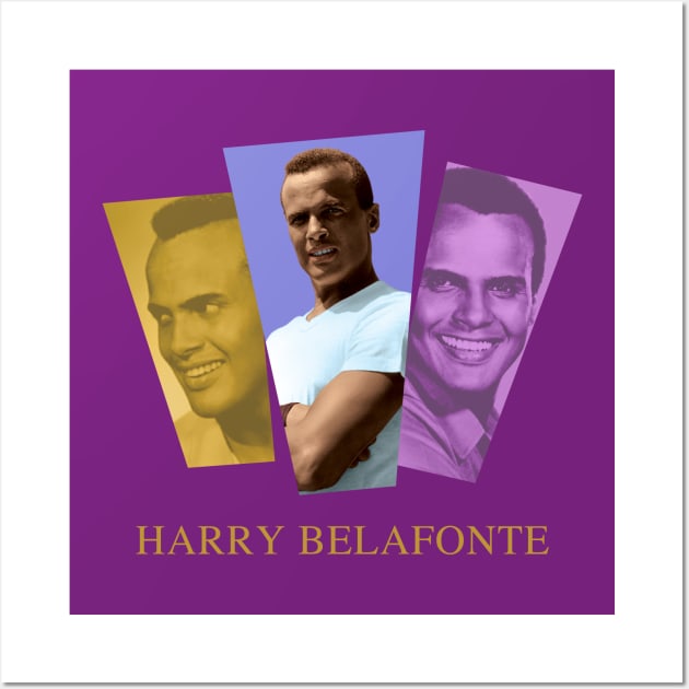 Harry Belafonte - King of Calypso Wall Art by PLAYDIGITAL2020